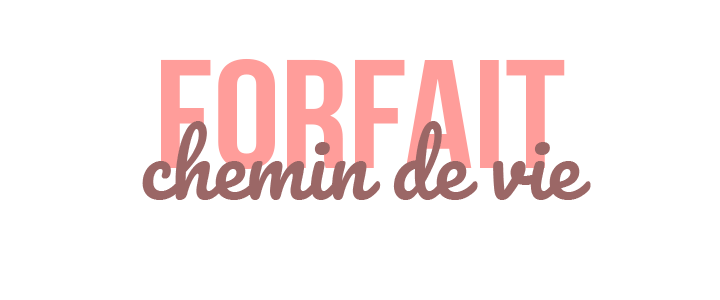 forfait chemin de vie et mission de vie Forfait chemin de vie